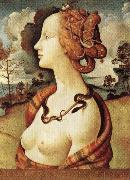 Piero di Cosimo Portrait of Simonetta Vespucci Sweden oil painting artist